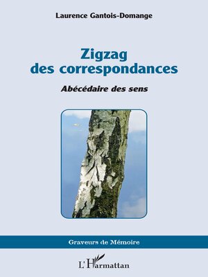 cover image of Zigzag des correspondances